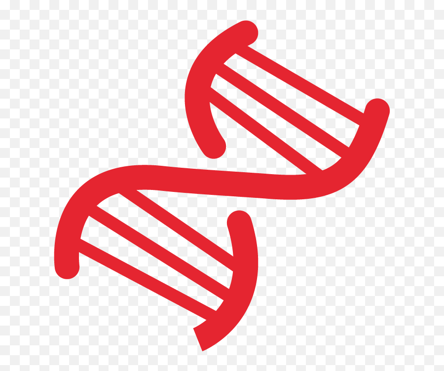 Services Audience Precision - Dna Gif Transparent Black Png,Red Finder Icon