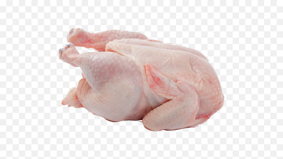 Chicken Png Pic