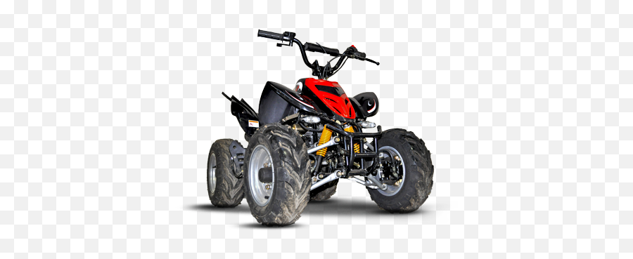 Quad Bikes - Uncle Bears Parties Atv Bike Png,Quad Bike Icon