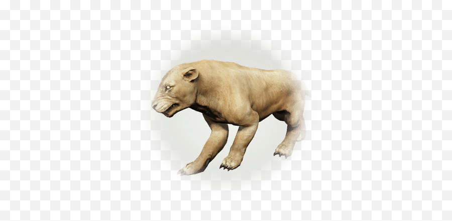 Lion Meat - Bdo Codex Animal Figure Png,Lions Icon