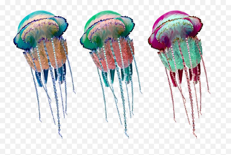 Art Experiment - Jellyfish On Behance Jellyfish Png,Transparent Jellyfish