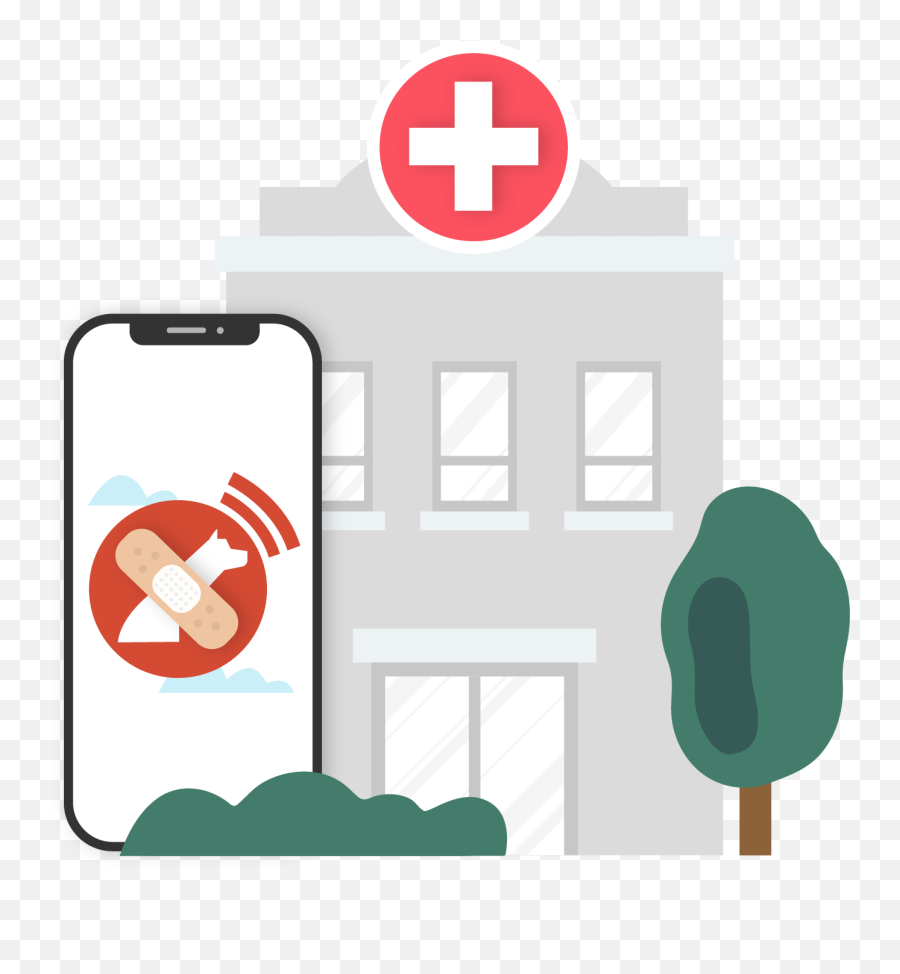 Healthcare Facilities - Lazarillo Mobile Phone Png,Travel App Icon