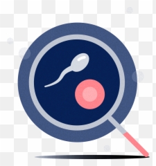 Fertility Consultation 20 Min - Apricity Clinic Twin Minaret Madrasah In Sivas png