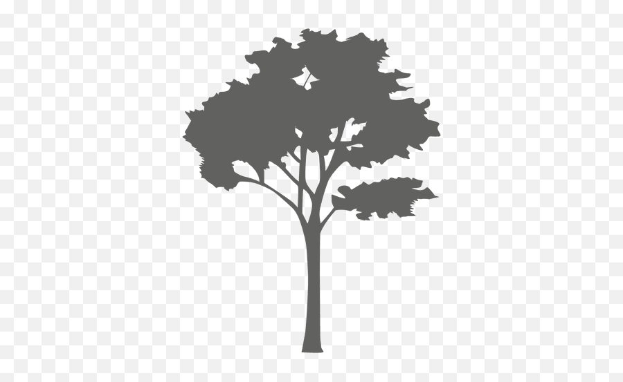 Maple Tree Silhouette 2 - Free Vector Trees Png,Tree Silhouette Png
