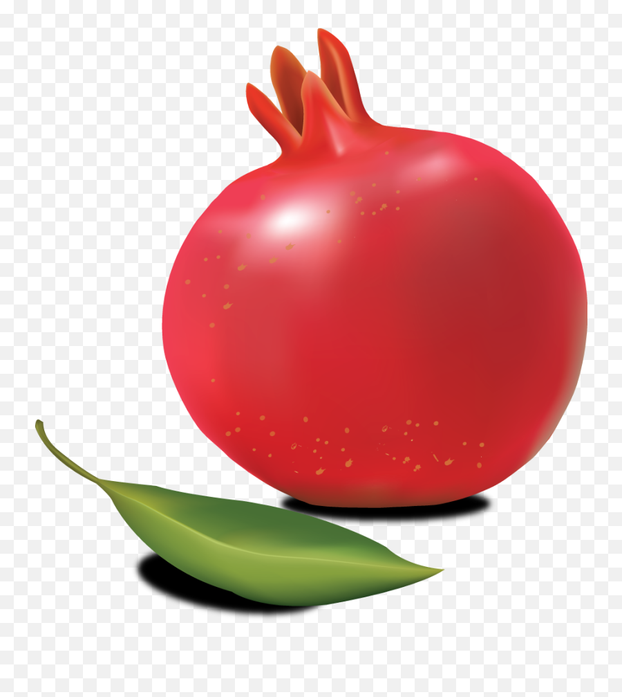 Pomegranate Png Icon - Download Image Of Pomegranate,Pomegranate Transparent