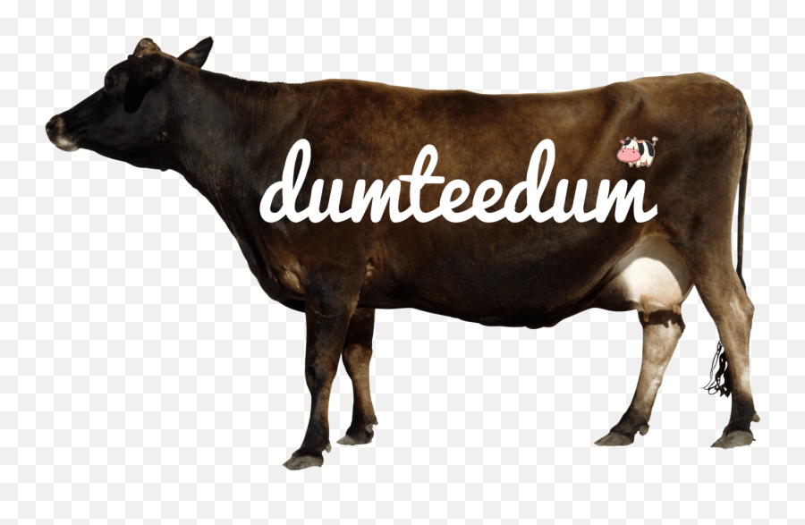Brown Cow Logo - Cow Side View Transparent Png,Cow Logo