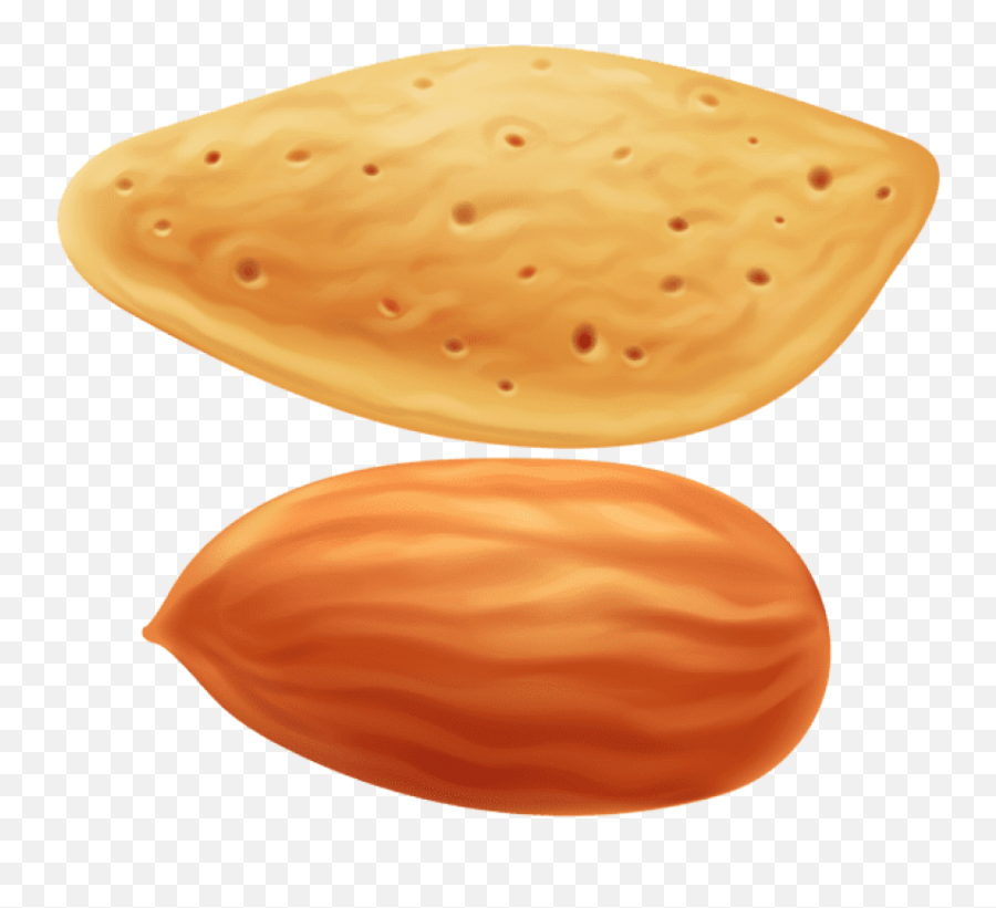 Almond Transparent Clipart Png Photo - Almond Clipart Png,Almonds Png