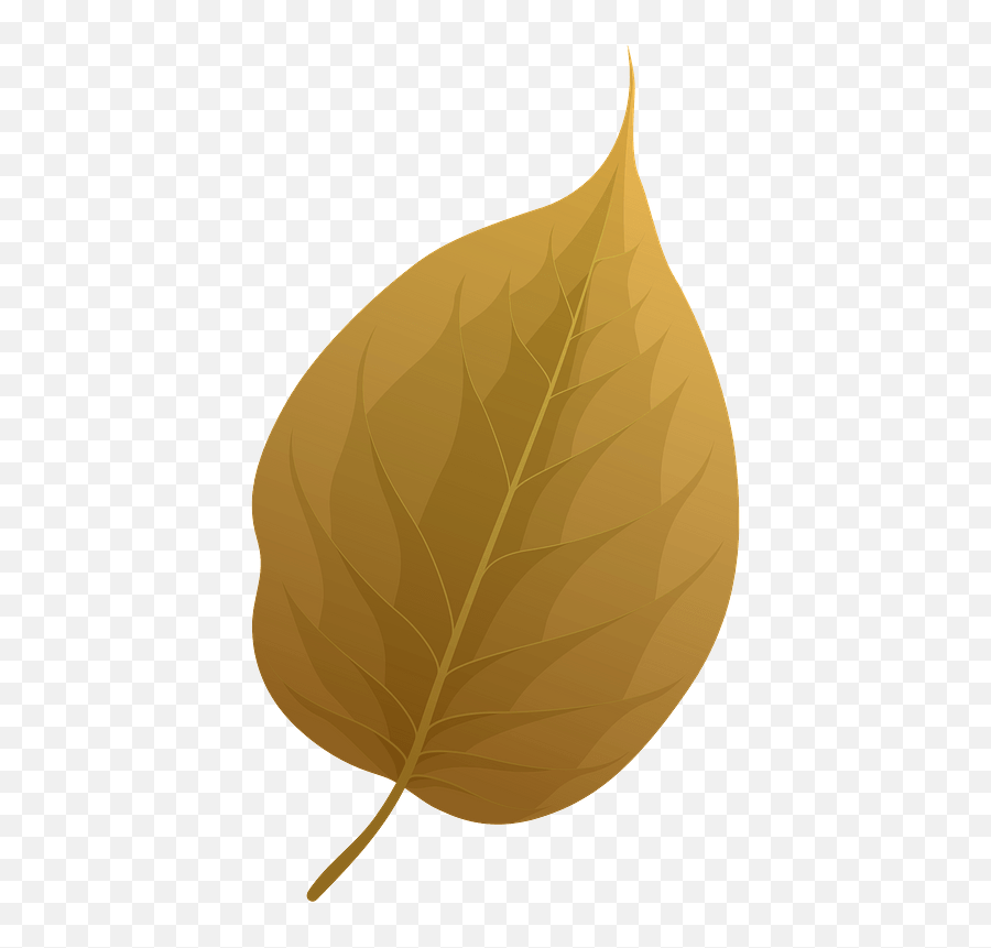 Osage Orange Autumn Leaf Clipart Free Download Transparent - Hickory Brown Leaf Clipart Png,Autumn Leaves Icon
