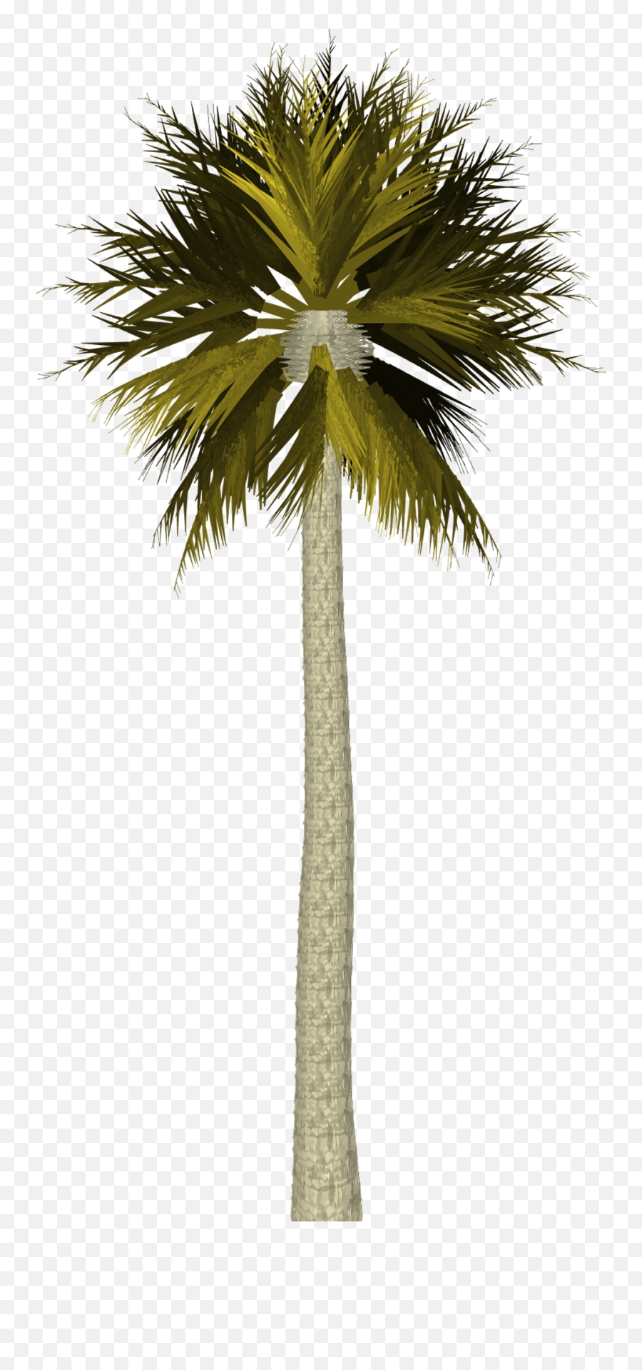 Palm Tree - Free Image On Pixabay Palm Tree Photoshop Png,Tropical Leaf Png