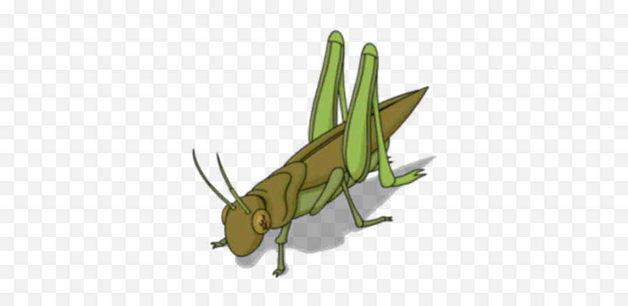 Giant Grasshopper The Simpsons Tapped Out Wiki Fandom - Simpsons Grasshopper Png,Grasshopper Png