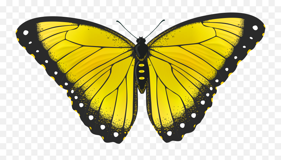 Library Of Free Image Royalty Purple And Yellow - Yellow Butterfly Transparent Background Png,Purple Butterfly Png