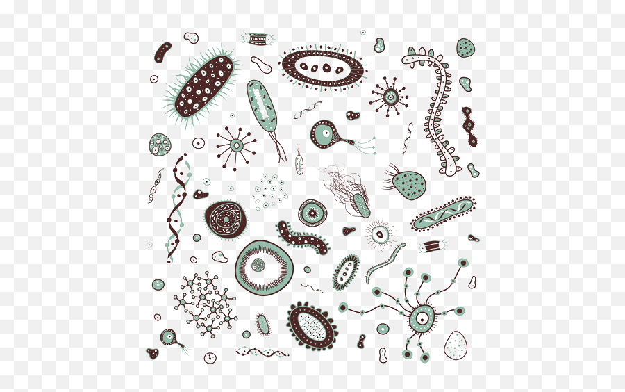 Bacteria Png Transparent Images - Bacteria Clipart,Bacteria Transparent Background