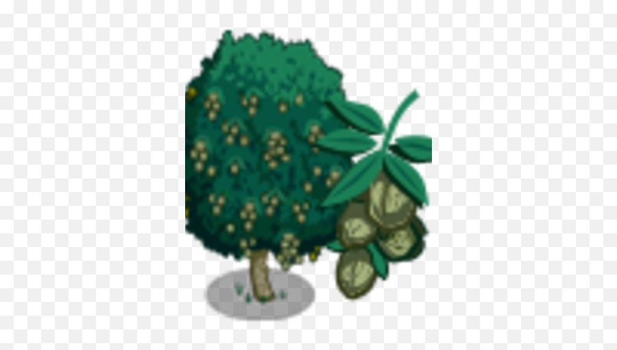White Walnut Tree - Illustration Png,Tree Icon Png