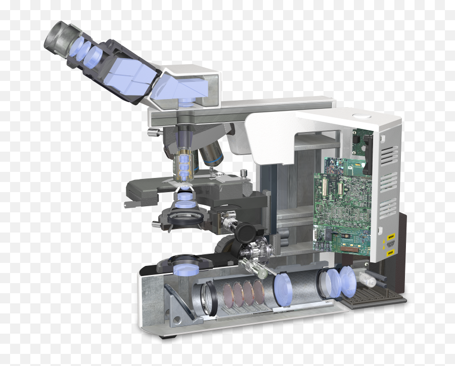 Transmitted Light Microscopy Optical Pathways - Java Pathway Microscope Png,Microscope Transparent