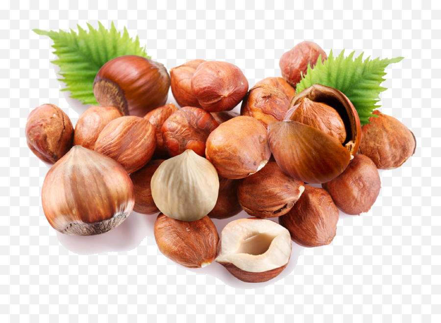 Findik - Hazelnut Png,Hazelnut Png