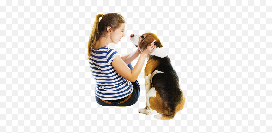 Mundo Pets Descubra A Melhor Maneira De Cuidar Seu Pet Png Cachorro