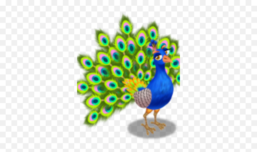 Peacock Zoocraft Wiki Fandom - Turkey Png,Peacock Png