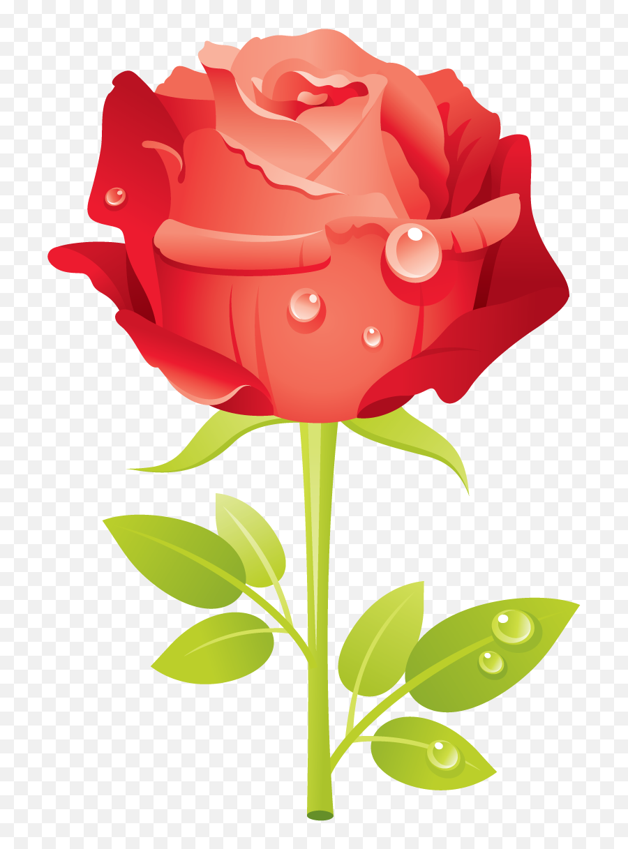Library Of Motheru0027s Day Flower Image Transparent Download - Flower Mothers Day Clipart Png,Mothers Day Png