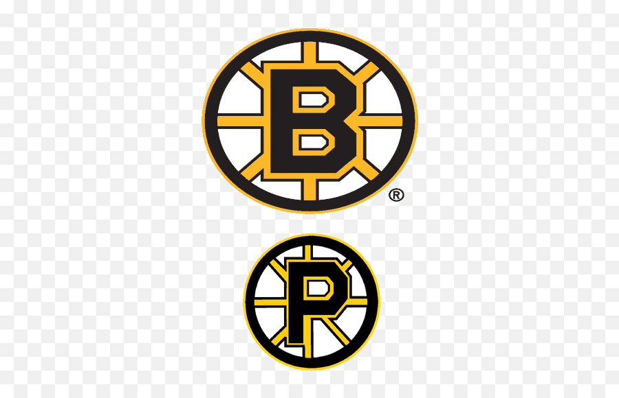 Boston Bruins Syko About Goalies - Providence Bruins And Boston Bruins Png,Boston Bruins Logo Png
