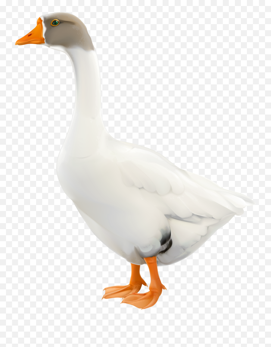 Free Goose Png Download Clip Art - Goose Clip Art Png,Goose Png