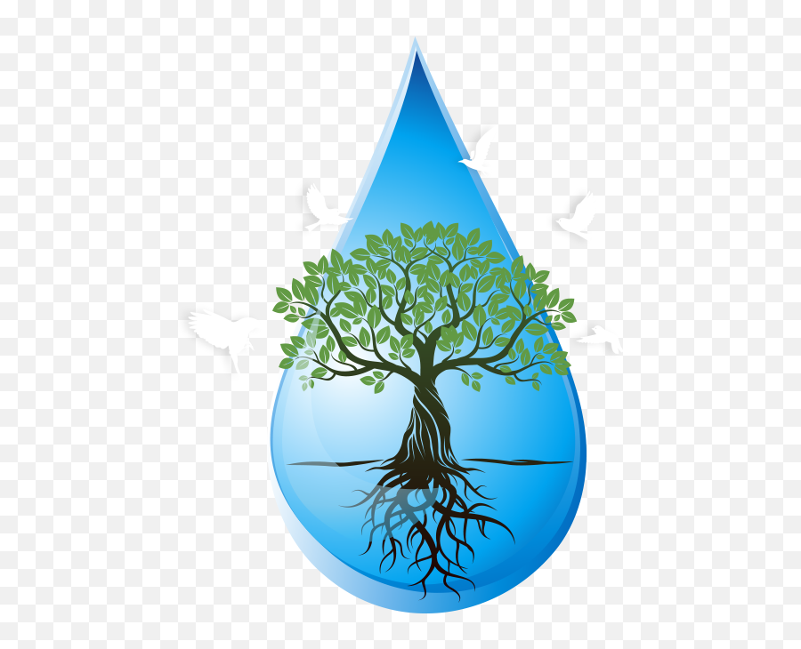 News18 Mission Paani U2014 Clean Drinking Water For Every Citizen - Tree With Roots Png,Mission Png