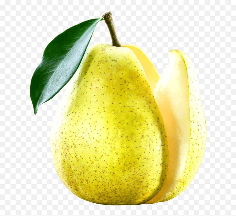 Download Hd Canned Pears - Can Transparent Png Image Asian Pear,Pears Png