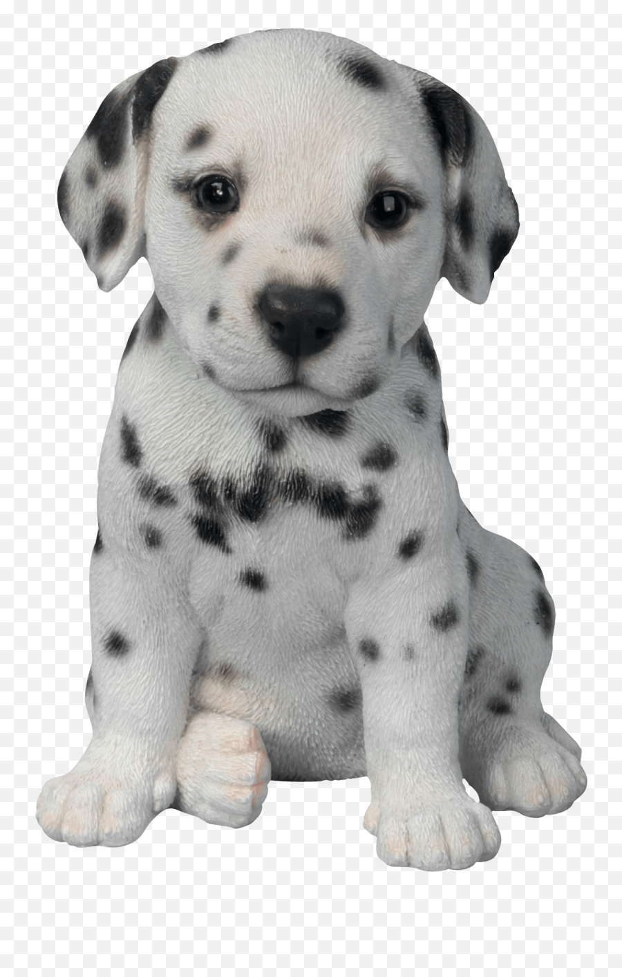 Puppy Png Transparent - Dalmatian Puppy,Cute Dog Png