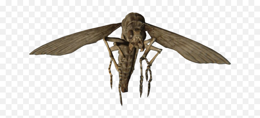 Dead Fly Png - Resident Evil 7 Insects Png,Resident Evil 7 Png