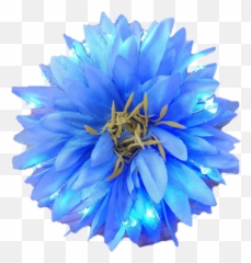Blue Light Up Glowing Hair Flower - Png