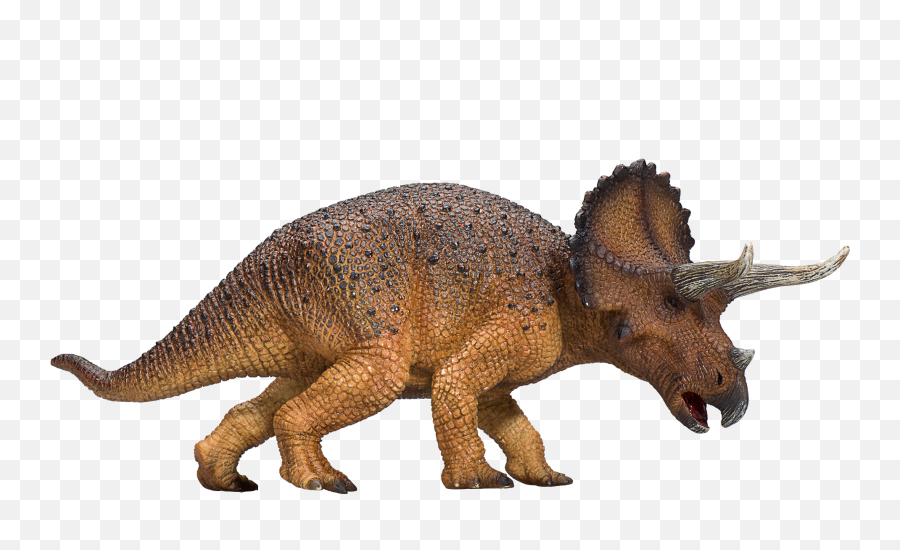 Triceratops Mojo - Mojo Triceratops Png,Triceratops Png