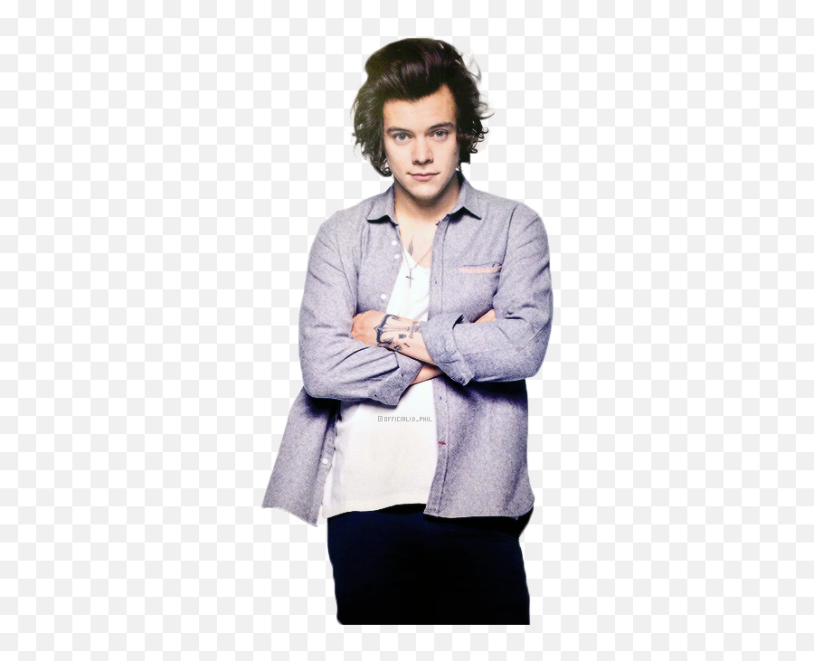 Harry Edward Styles Png File - Life Size Harry Styles Cardboard Cutout,Harry Styles Png