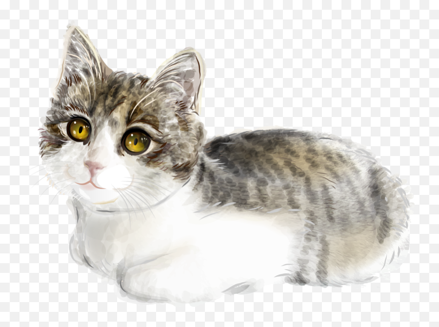 Cat Kitten Illustration - Cat Png,Cute Cat Transparent