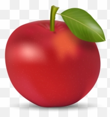 Red Apple - Vector png download 12001200 Transparent Background