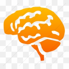 Simple Orange Gradient Classica Brain Icon - Individual And Group Rights png