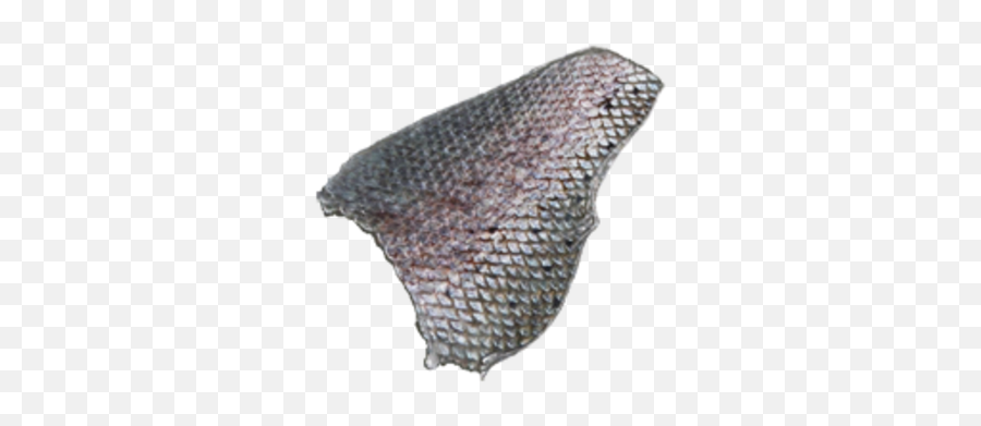 Fish Scales - Fish Scale Png,Scales Png