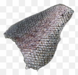 Fish Scales - Png