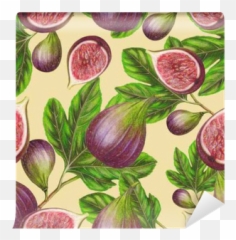 Seamless Pattern Of Hand Drawn Fig Wall Mural U2022 Pixers - We Live To Change Fig Pattern Png,Fig Png