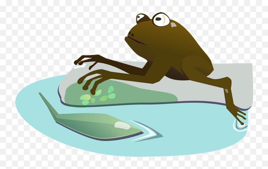 Toad - Portable Network Graphics Png,Toad Transparent