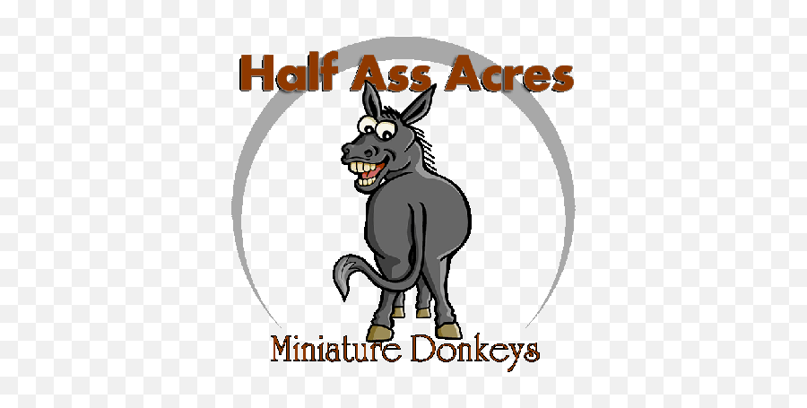 You Can Never Have Too Many - Our Geldings Donkey Ass Logo Transparent Png,Dunkey Never Gettin Into Icon