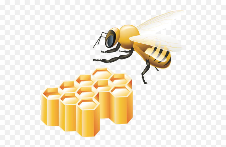 Abeilles Png Bumblebee Icon