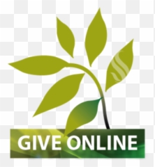 St Francis Of Assisi Catholic Church Online Giving - Png