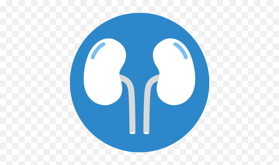 Artisans Of Medicine - Dot Png,Nephrology Icon