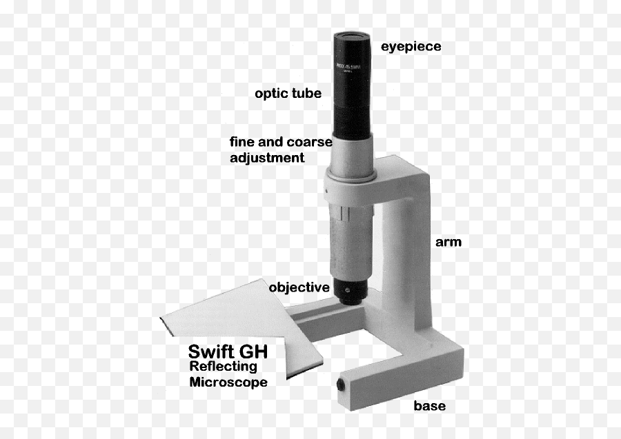 Comparing And Contrasting The Different Parts Of Microscope - Parts Of Microscope Simple Png,Microscope Transparent Background