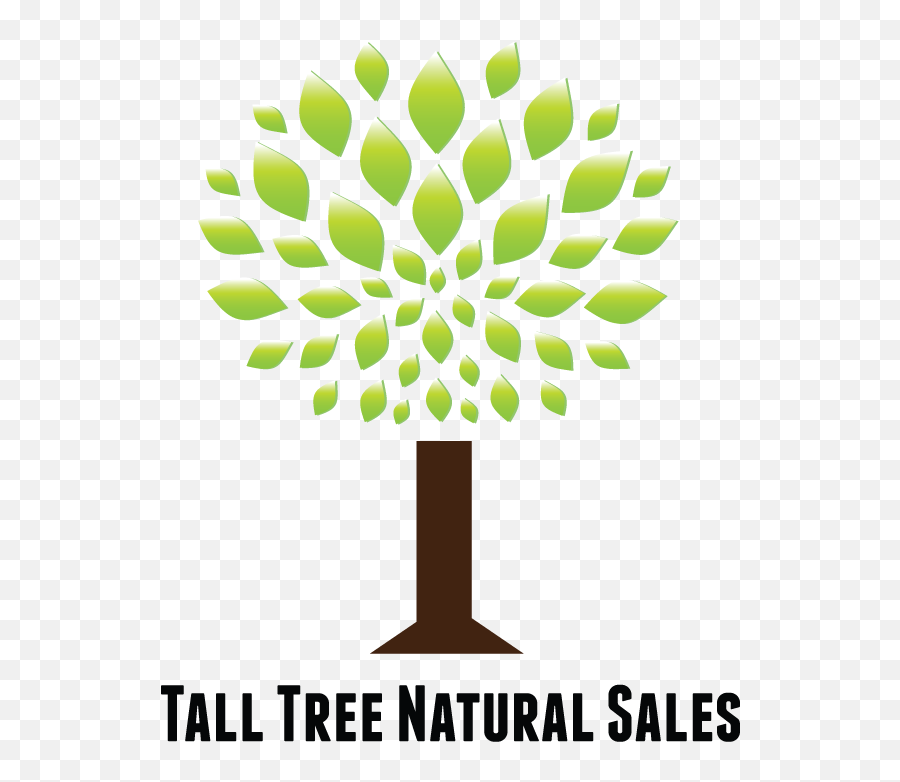 Bold Playful Marketing Logo Design For Tall Tree Natural - Graphic Design Png,Tall Tree Png