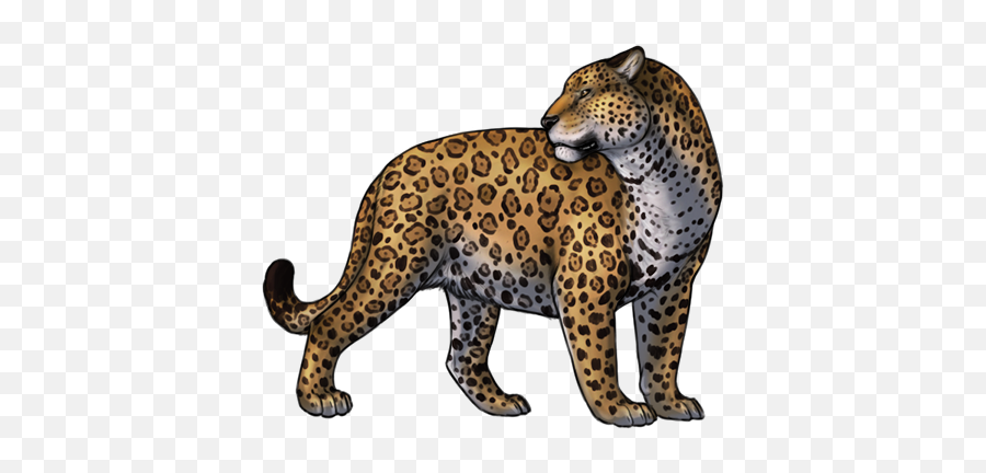 Jaguar Png Clipart - Yayoi Kusama,Jaguar Png