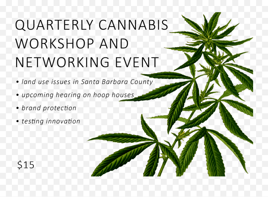 Hemp Leaf Png - Cannabis Png,Weed Plant Png