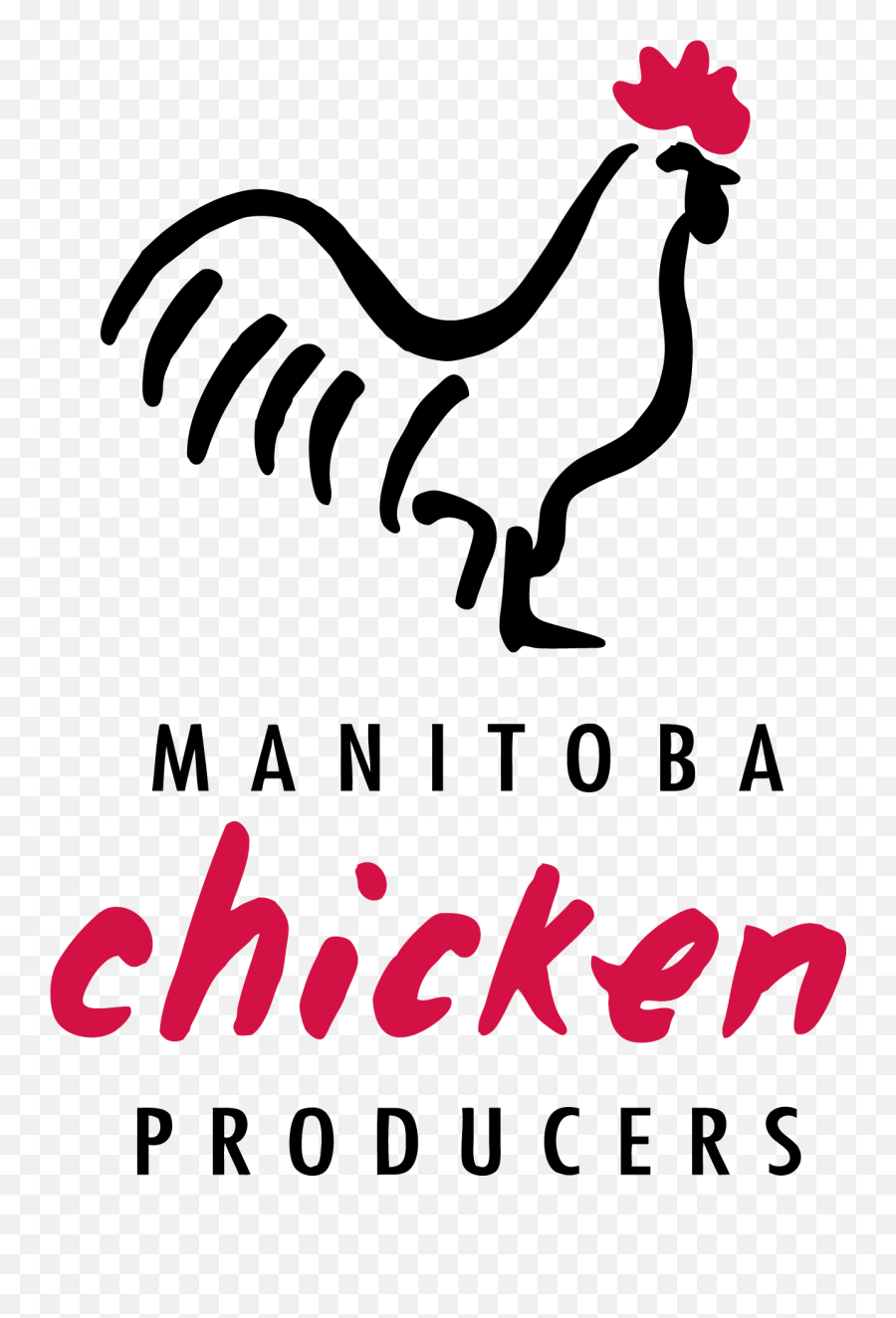 Mb Chicken Png - Winnipeg Harvest Rooster,Harvest Png