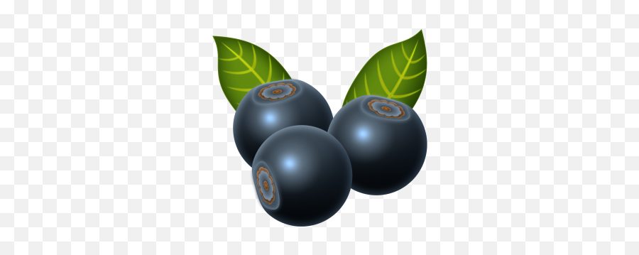 Blueberries Clipart Three - Vektor Blueberry Png,Blueberries Png