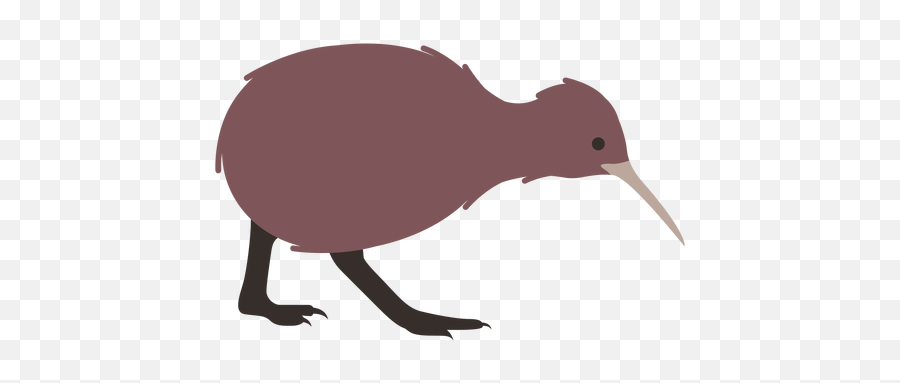 Kiwi Beak Leg Flat - Transparent Png U0026 Svg Vector File Kiwi Png Bird Drawing,Kiwi Transparent
