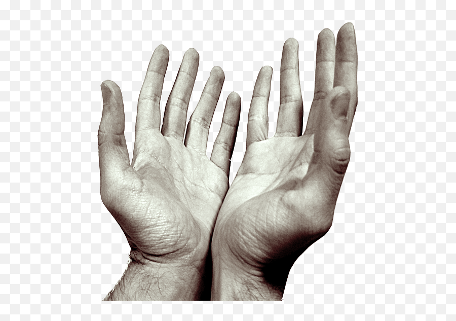 Hands Transparent Png Images - Sorry For Being A Disappointment,Prayer Hands Png